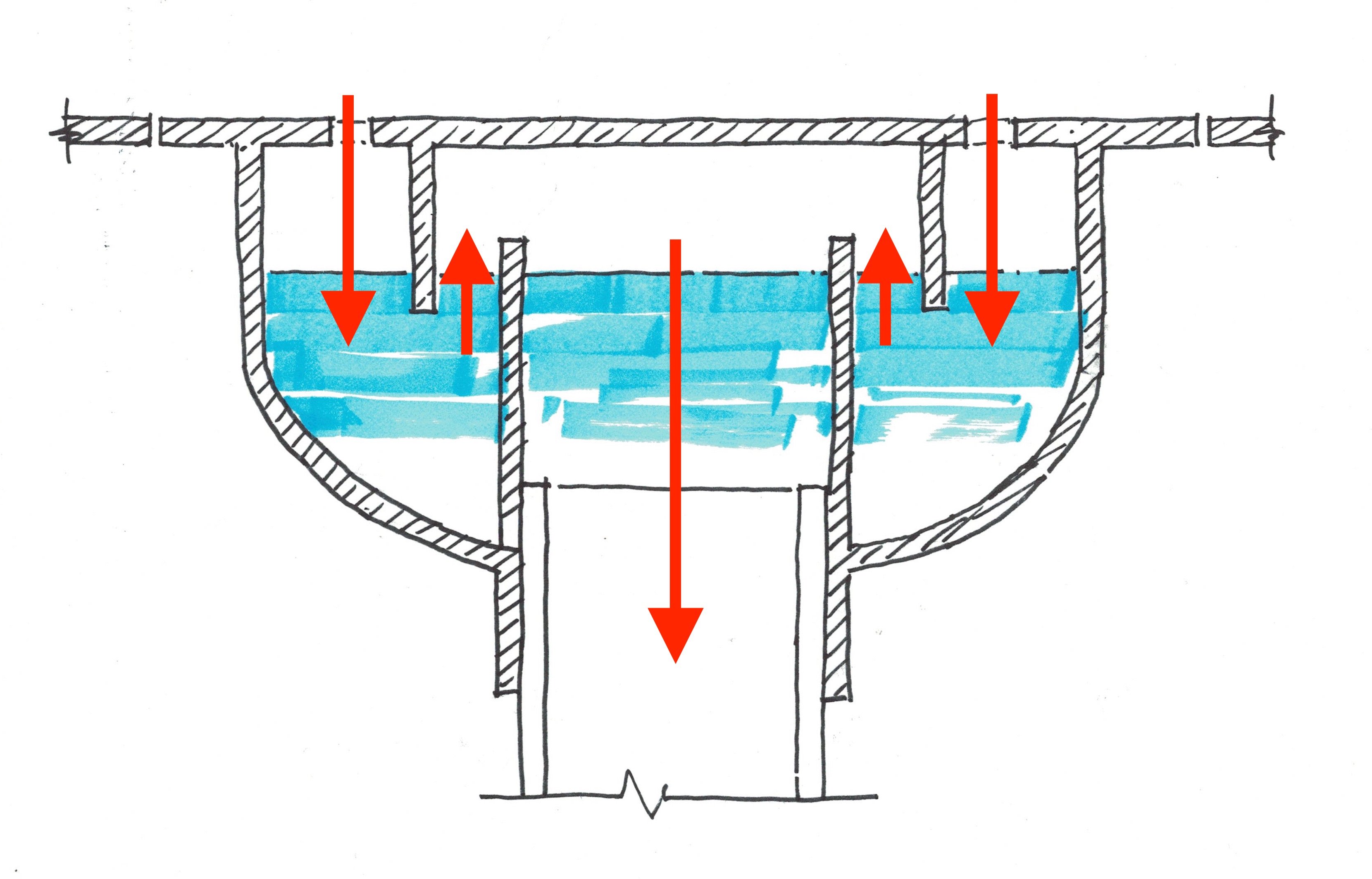 Bell trap 2025 floor drain