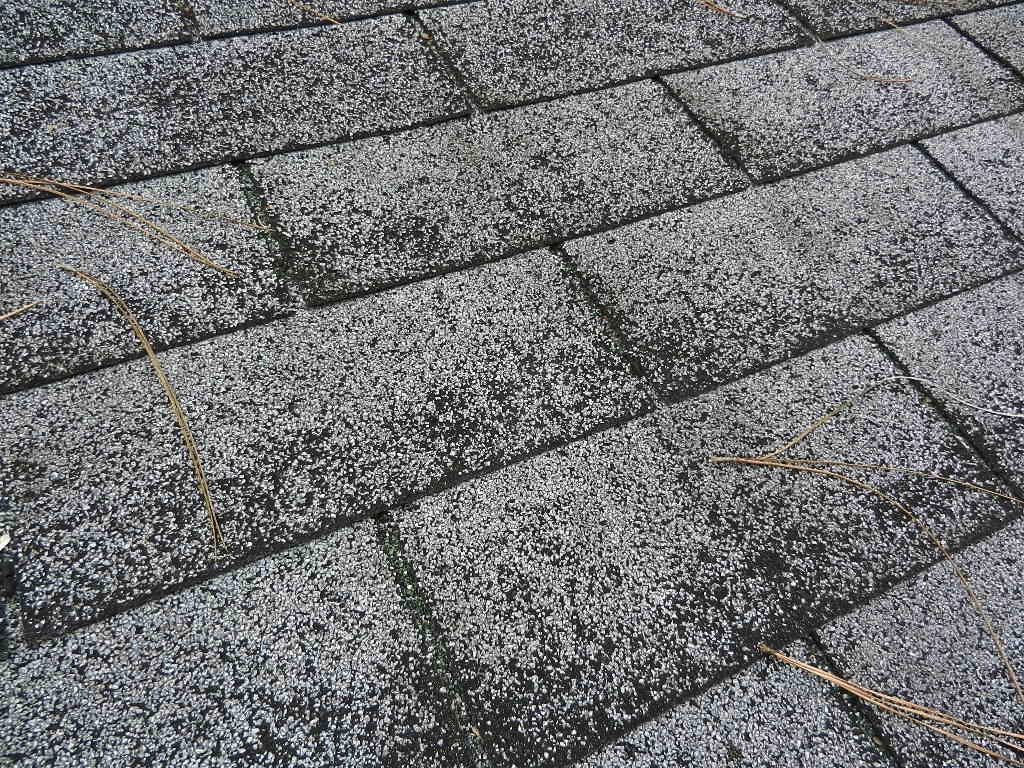 Asphalt shingles with missing granules towards the bottoms.