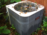 Can I find the age of a heat pump from the serial number?