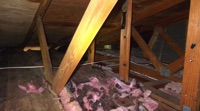 Why are there bald spots of missing insulation in my attic?