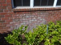 Is efflorescence a serious problem?