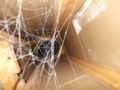 Why is using a stud cavity or joist space as a return air duct a bad idea?