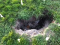 How can I tell if a sunken area in my yard is a sinkhole?