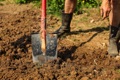 CLAY SOIL