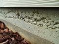 What causes honeycomb in concrete?