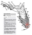 What is the difference between the HVHZ (High Velocity Hurricane Zone) and the Wind-Borne Debris Region in Florida Building Code?