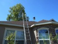 At what roof age does an insurance company require a roof inspection for a homeowners insurance polcy?