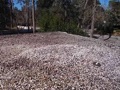 What causes bubble-like blisters in a built-up and gravel roof?