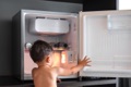 What is the average life expectancy of a compact refrigerator?