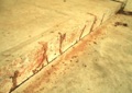 Can termites get through a concrete slab?